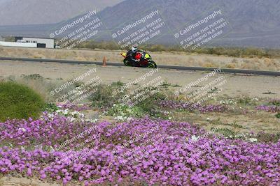 media/Feb-04-2023-SoCal Trackdays (Sat) [[8a776bf2c3]]/Turn 15 Inside Blooming (1050am)/